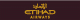 Fluggesellschaft Etihad Airways