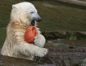 Nürnberg: Zoo