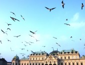 Schloss Belvedere Wien: Schloss Belvedere