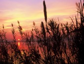 Valencia, Sonnenuntergang in Albufera