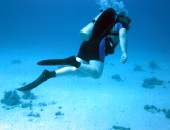 Hurghada, Tauchen