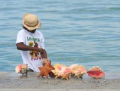 Bahamas, Muscheln Bahamas, Muscheln