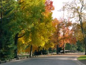 Bordeaux, Park Bordeaux, Park