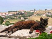 Samos, Aussicht von Terrasse Samos, Aussicht von Terrasse