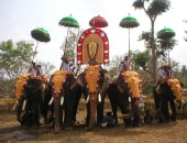 Indien, Elefanten