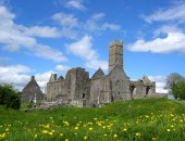 Irland, Burg