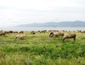 Lamezia Terme, Kalabrien