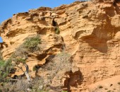 Olbia, Natur