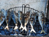 Rijeka, Fisch Rijeka, Fisch