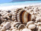 Rijeka, Strand Rijeka, Strand