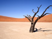 Namibia, Wuestenlandschaft Namibia, Wuestenlandschaft