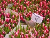 Blumenmarkt in Amsterdam