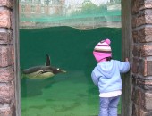 Bergen, Aquarium Bergen, Aquarium
