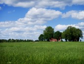 Schweden, Weidelandschaft Schweden, Weidelandschaft
