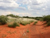 Südafrika, Wüstenlandschaft Südafrika, Wüstenlandschaft