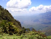 Tansania, Udzungwa