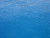 Dalamn, Meer Dalamn, Meer