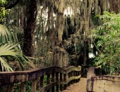 Orlando, Mount Dora Orlando, Mount Dora