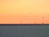 Fort Myers, Sonnenuntergang Fort Myers, Sonnenuntergang