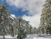 Zypern, Troodos-Massiv Zypern, Troodos-Massiv