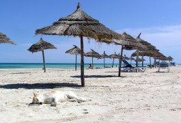 Tunesien strebt 10 Millionen Touristen an