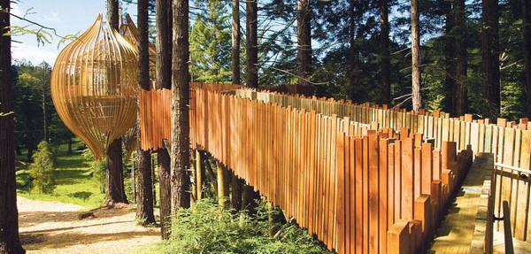 Foto: Redwoods Treehouse