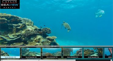 Nacktschwimmer aufgepasst – Google taucht ab