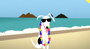 DogVacay – Von wegen Hundeleben