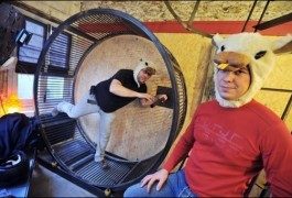 In der Haut eines Hamsters