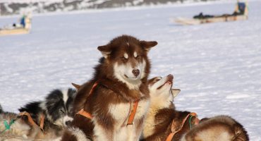 Winterliche Reisefreuden abseits der Skipisten