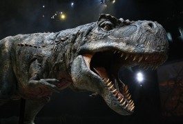 Dinosaurier – Prähistorische Giganten touren durch Europa