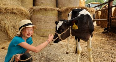 Urlaub auf dem Bauernhof – Ich glaub mich leckt ’ne Kuh