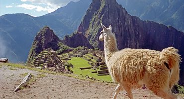 Die Teuerste Reise der Welt kostet 1,16 Millionen Euro