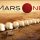 Mars One