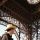 Do you speak Touriste? – Paris lernt die Sprache seiner Besucher