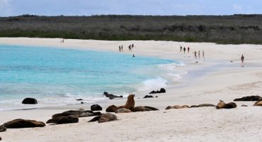 Google Street View reist zu den Galapagosinseln