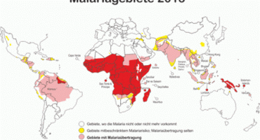 Studenten entwickeln Seife gegen Malaria