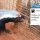 Der twitternde Honigdachs aus dem Johannesburger Zoo