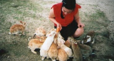 Ōkunoshima: Japans Kanincheninsel