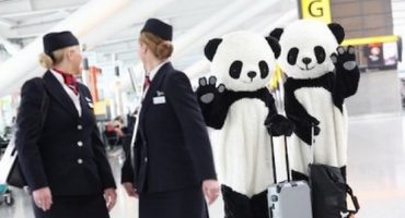 Der fliegende Panda von British Airways