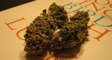 Kifferparadies USA? Immer mehr Bundesstaaten legalisieren Marihuana