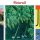 Reisen mit Pinterest: Die besten Profile zum Kofferpacken