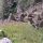Alle Wege führen zum Machu Picchu