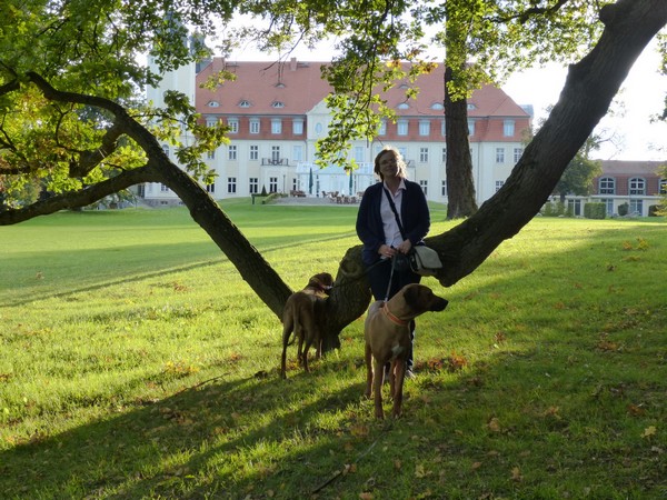 Dreierpack im Park vom Radisson Schloss Fleesensee