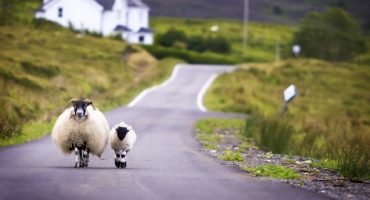 Was verliert das UK mit Schottland?