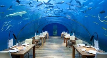 Verrückte Restaurants rund um die Welt