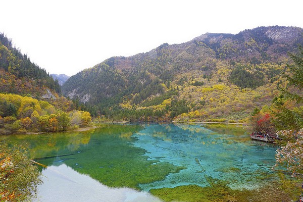 china-herbst