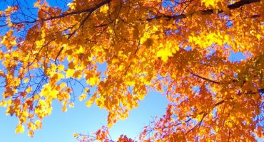 Bunte Reiseziele für den Herbst