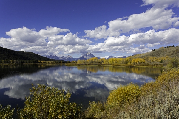 usa-herbst