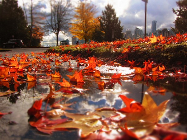vancouver-herbst
